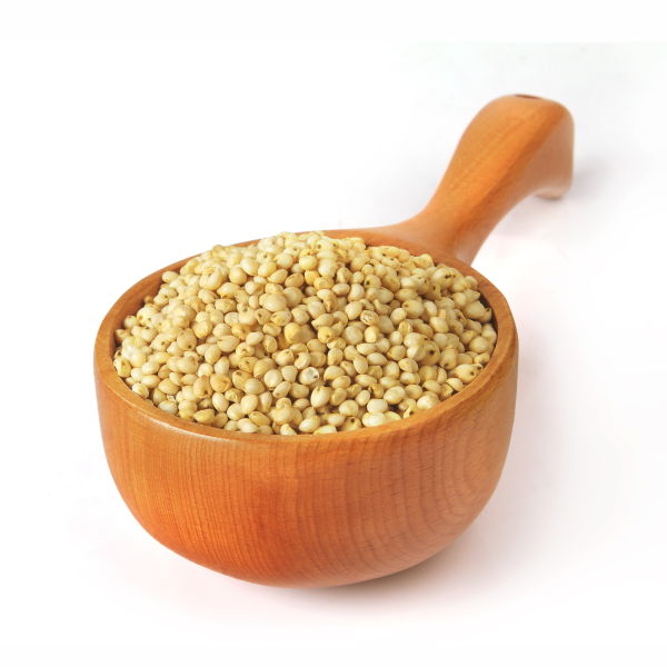 Jowar Sorghum